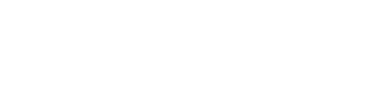SeaFort Capital Partner Company